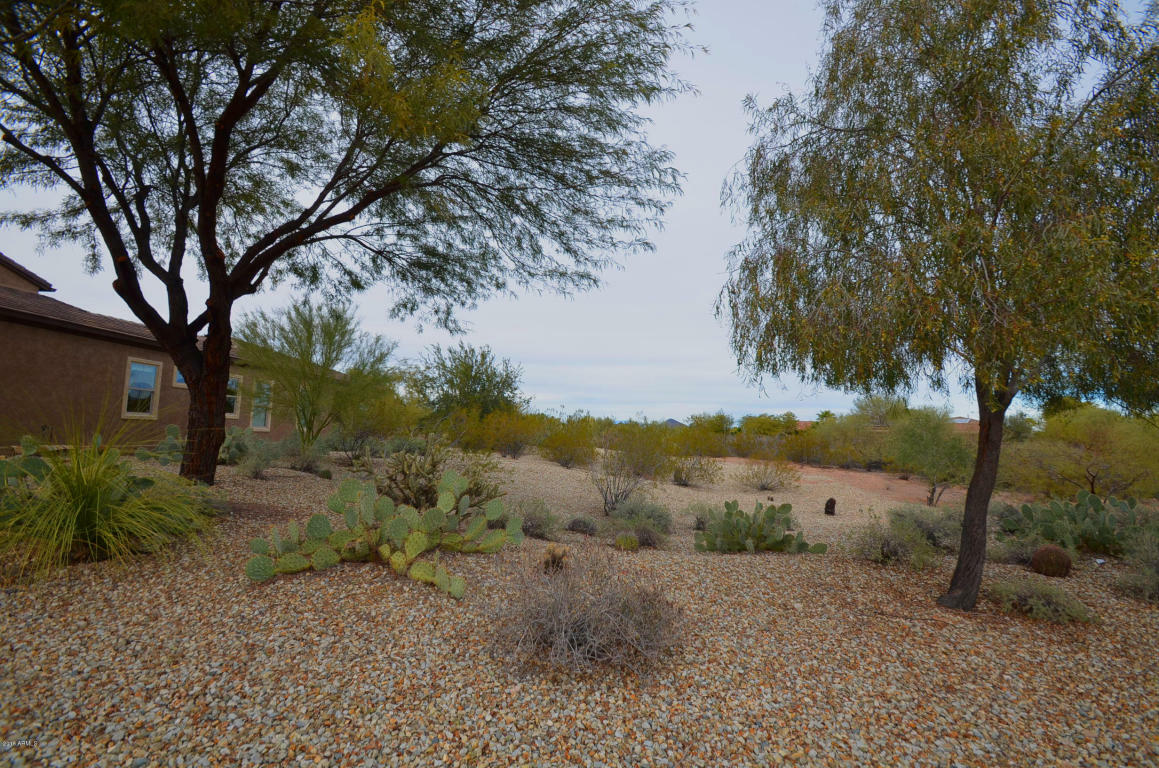 Property Photo:  13004 W Redbird Road  AZ 85383 