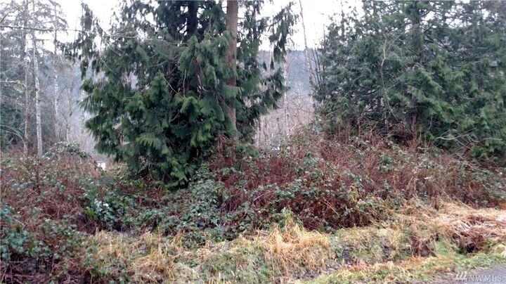 0 Cedar Lane  Sedro Woolley WA 98284 photo