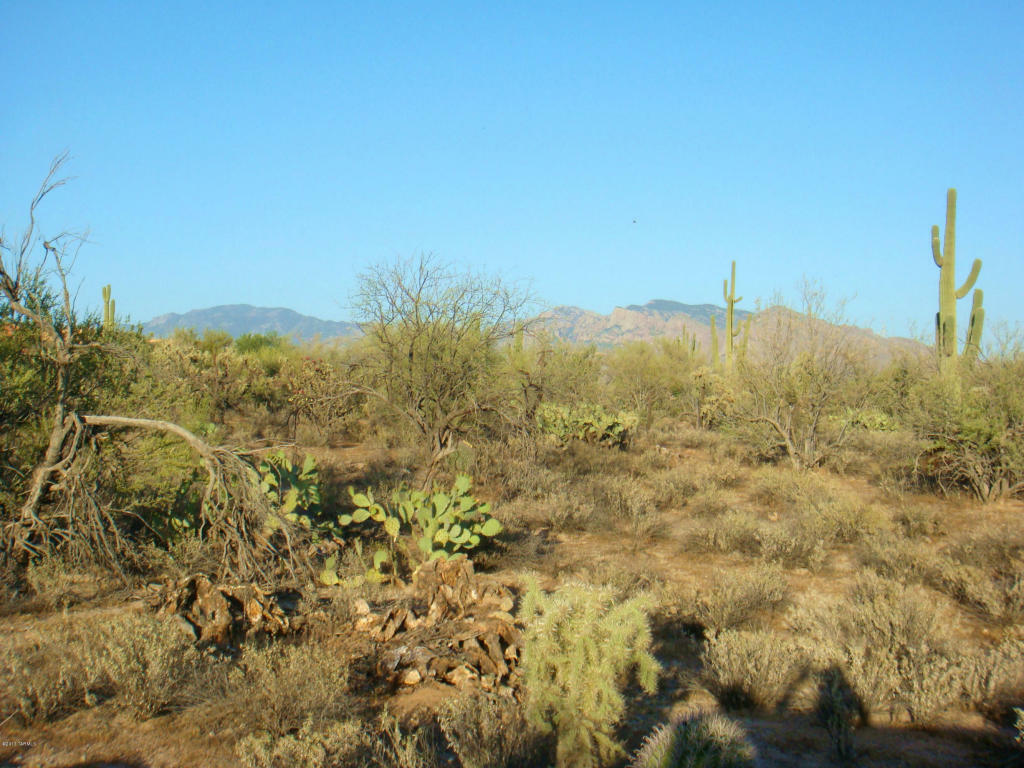 Property Photo:  10095 N Carolanne Drive 0  AZ 85742 