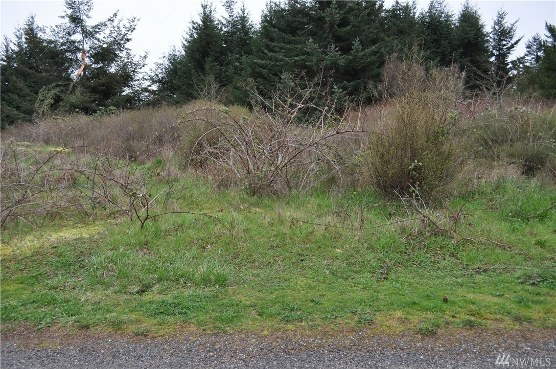 Property Photo:  Lot 1-A Panorama Place  WA 98250 