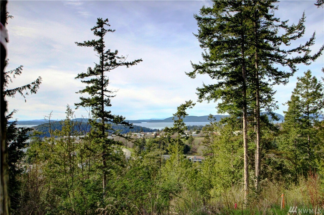 Property Photo:  4110 Coralroot Place  WA 98221 