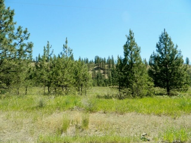 Property Photo: Xxx Long Lake Dr 5107025 WA 99026
