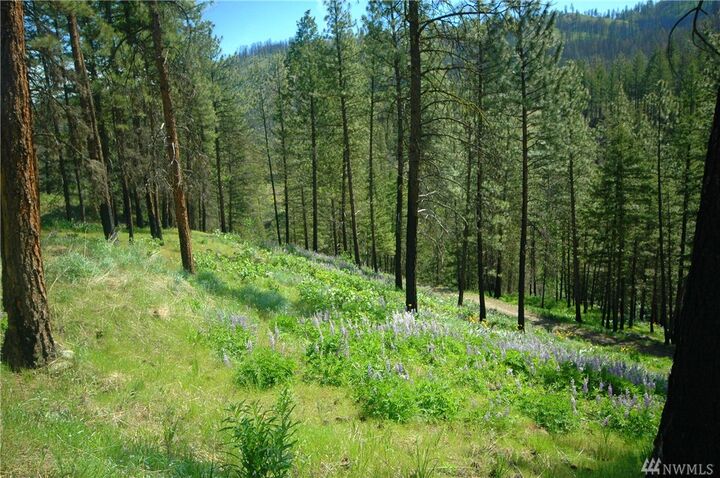 Property Photo:  94 South Fork Gold Creek Rd  WA 98814 