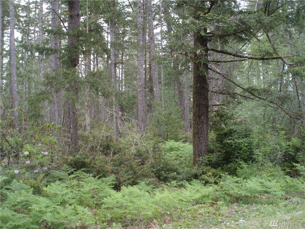 Property Photo:  10 Acres Lake Christine Rd  WA 98588 