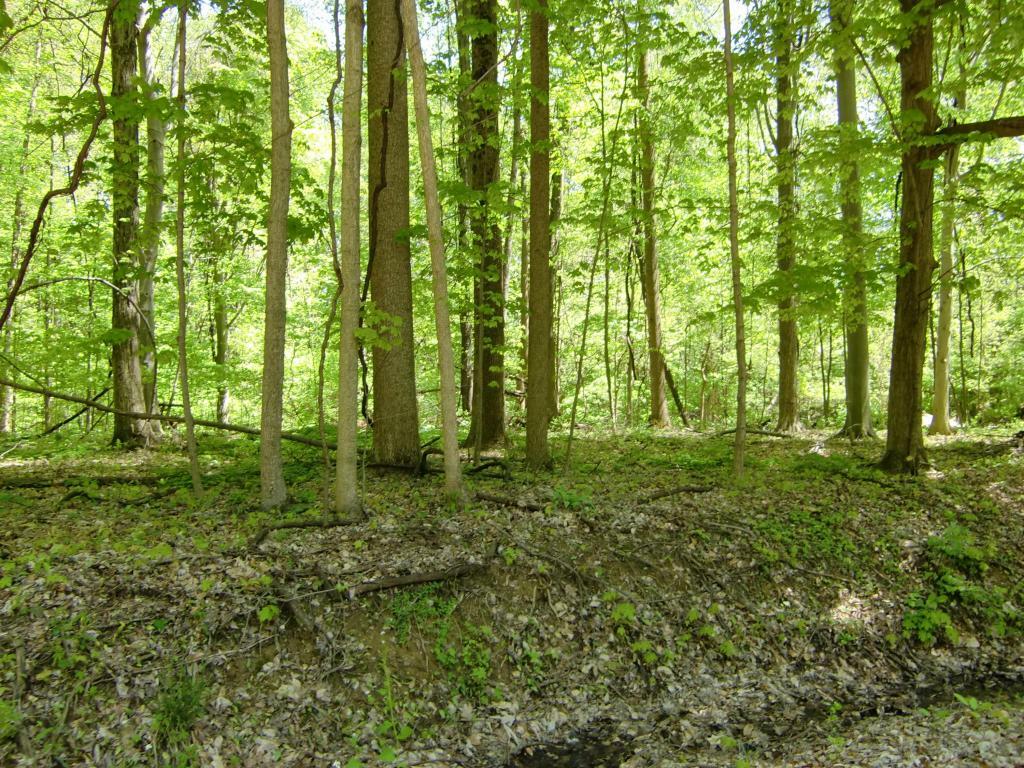 Property Photo: 7326 State Route 19 OH 43338