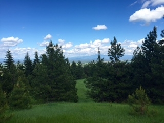 Property Photo: Xxx Quail Ridge Way WA 99006