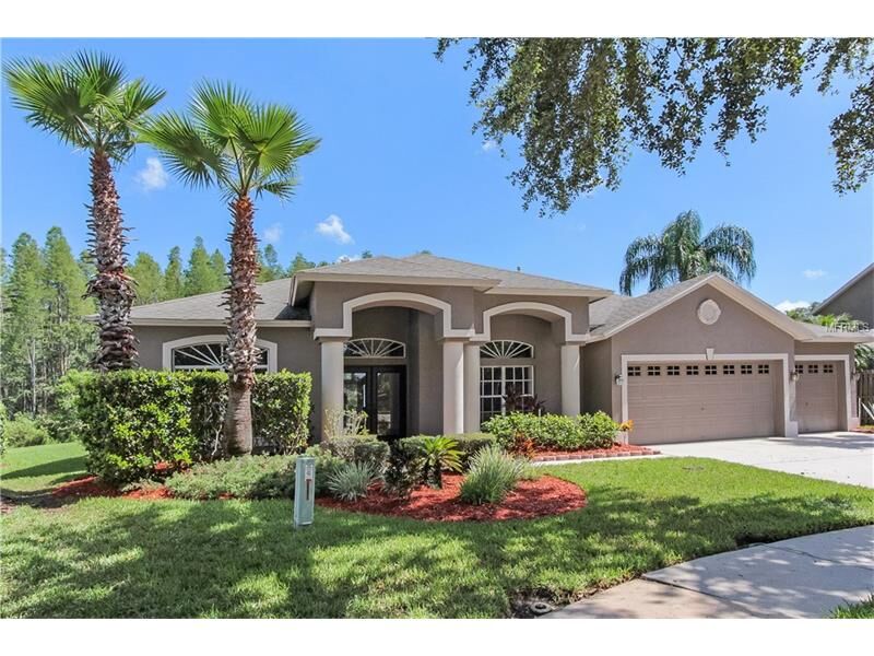 Property Photo:  5003 Carribbean Court  FL 33558 