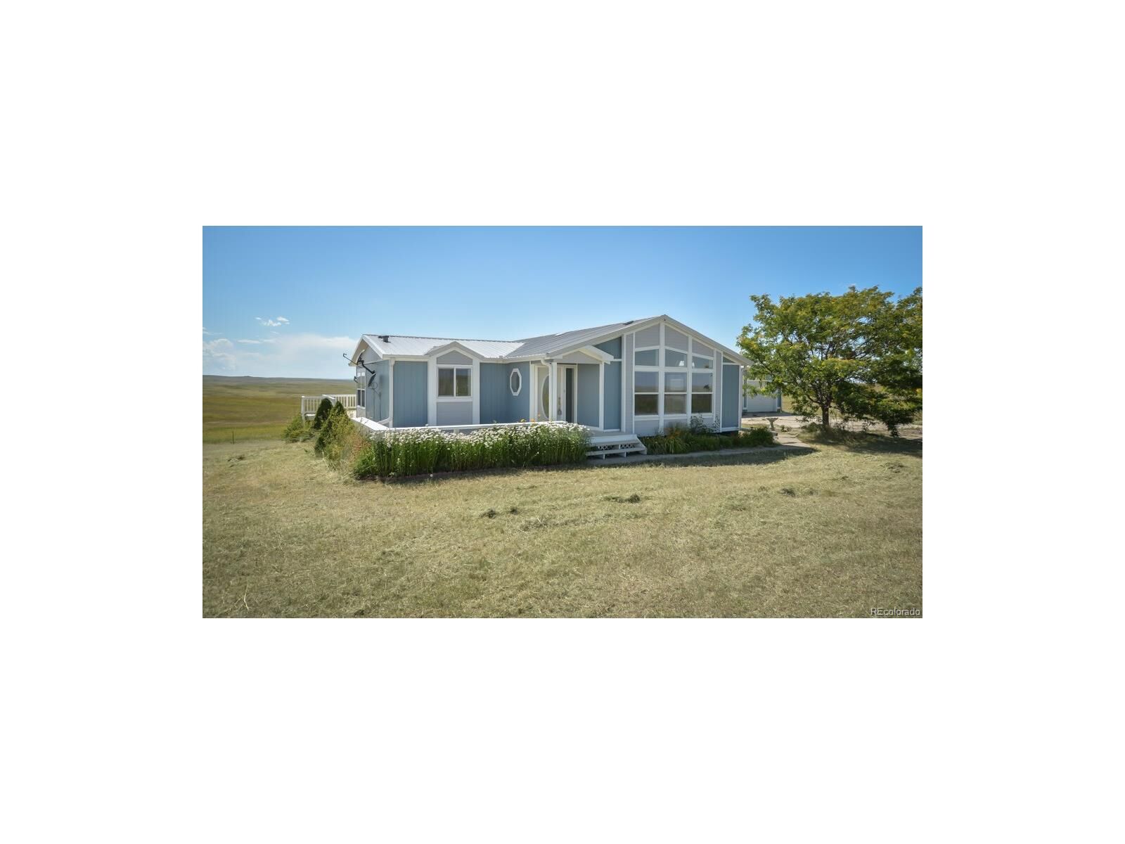 Property Photo:  25495 County 125 Road  CO 80835 