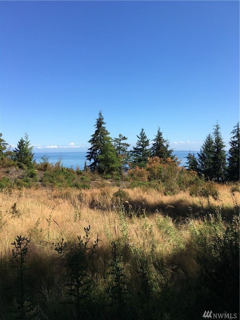 Property Photo:  0 Raccoon Point Rd  WA 98245 