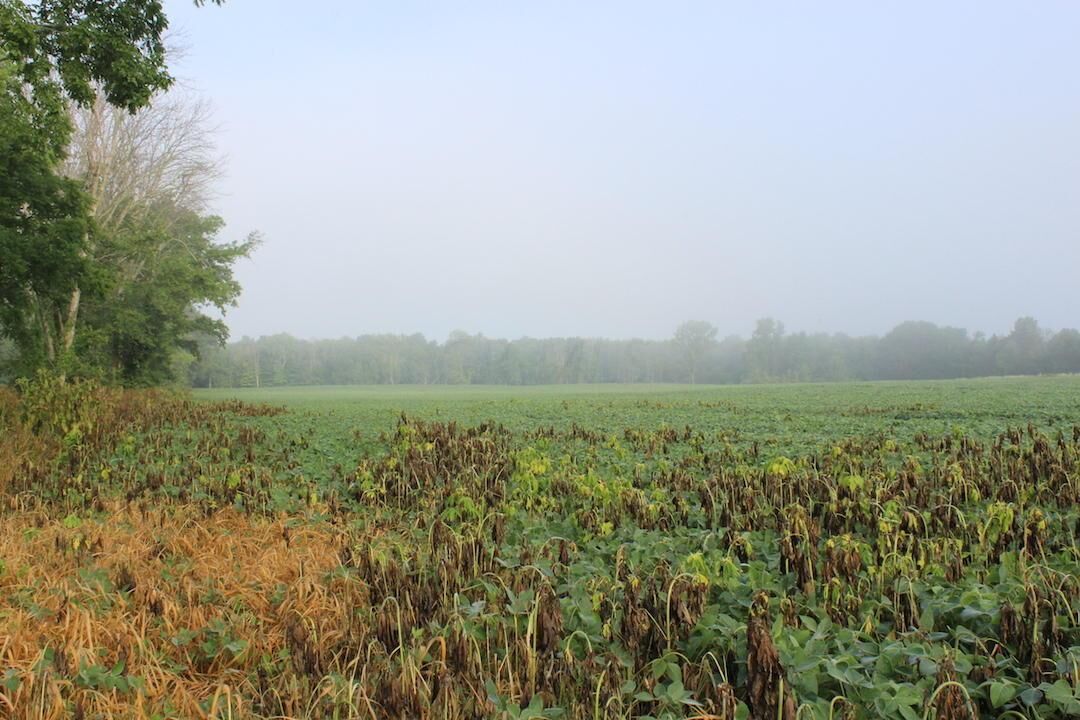 Property Photo: 2158 Township Road 180 OH 43019