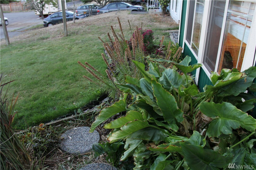 Property Photo:  1216 S Highland Ave  WA 98465 