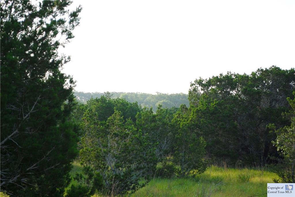 Property Photo:  401 Frio Lane  TX 78676 