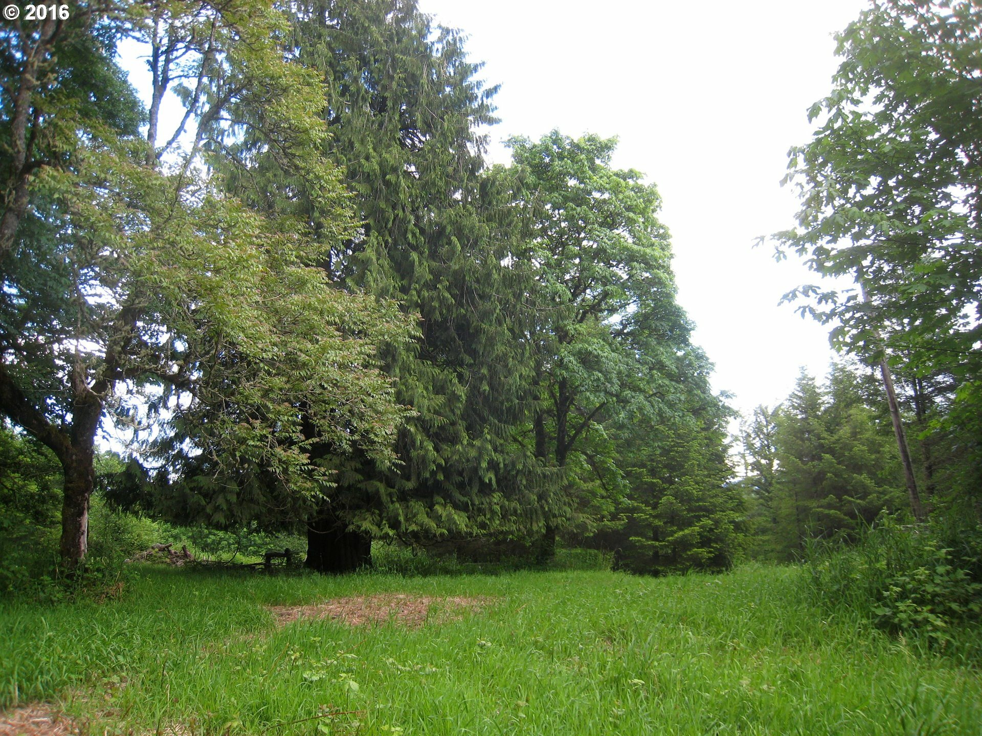 Property Photo:  992 Labarre Rd  WA 98671 