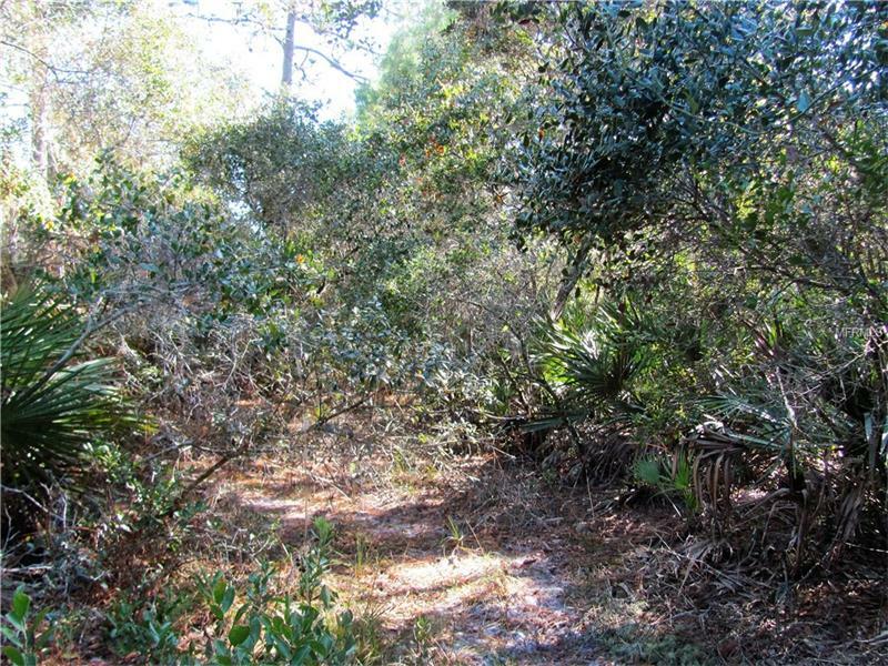 Property Photo:  2521 Mills Creek Road  FL 32766 