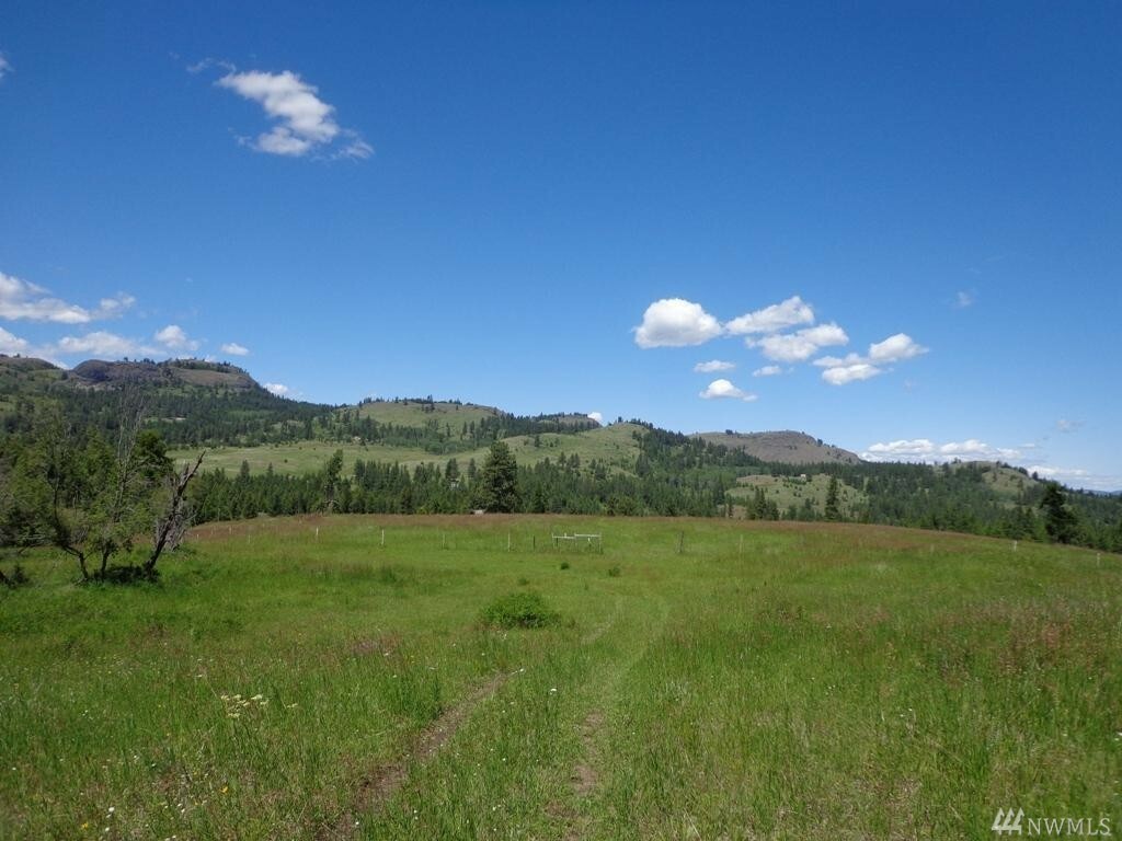 Property Photo:  Tbd McQuinn Rd  WA 99150 