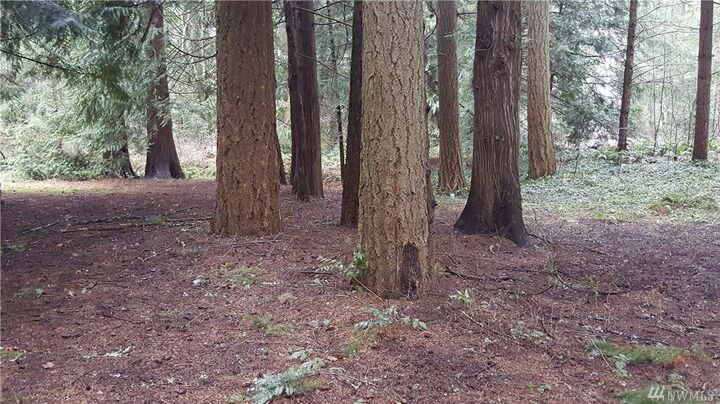 Property Photo:  17707 Beachside Dr SE  WA 98597 