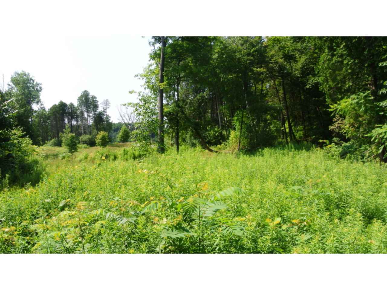 Property Photo: Lot 36 Marble Island Road VT 05446