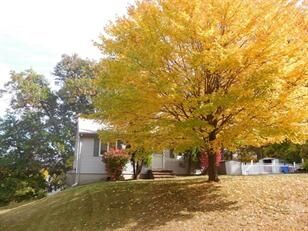 Property Photo:  53 Benefit St  MA 01844-1503 