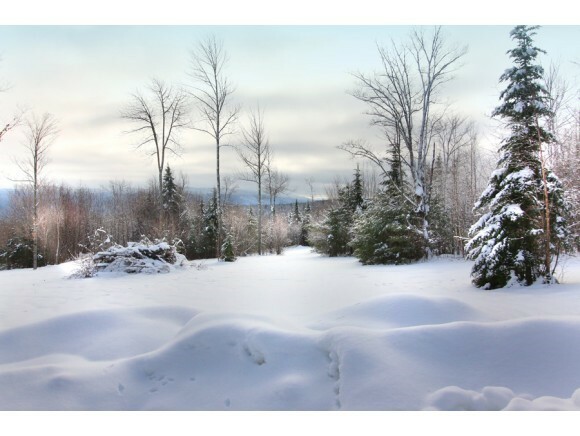 Property Photo: Lot 631 Cummins Pond Road NH 03266
