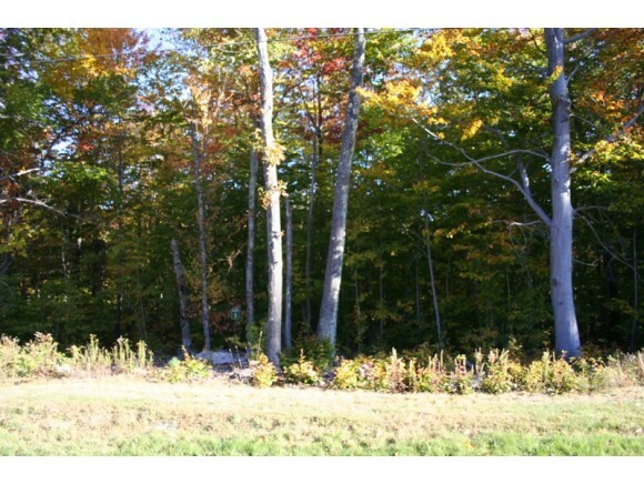 Property Photo:  Lot 3 High Point Drive  NH 03810 