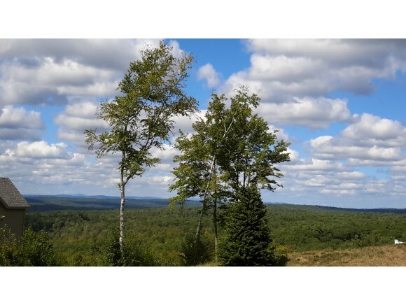 Property Photo:  Quimby Mountain Road 10  NH 03106 
