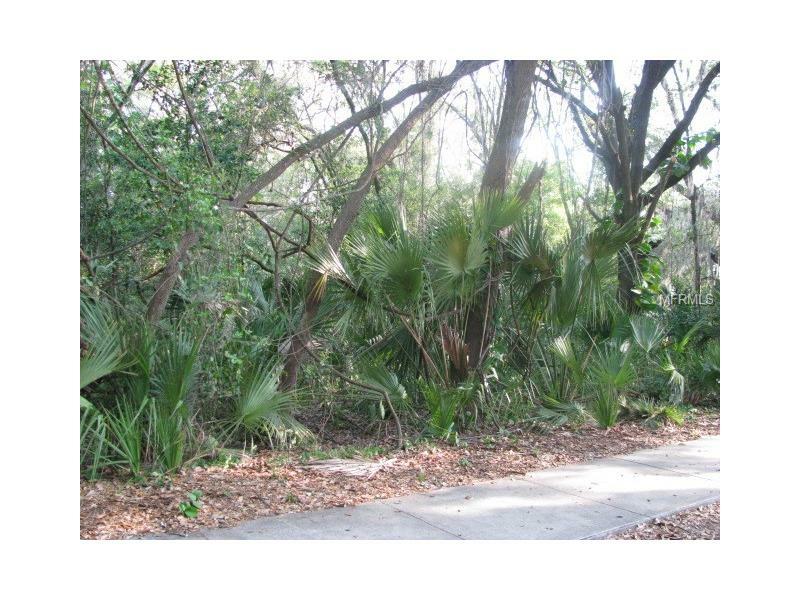 Property Photo:  Lot 3 Blk 4 Maki Road  FL 33563 