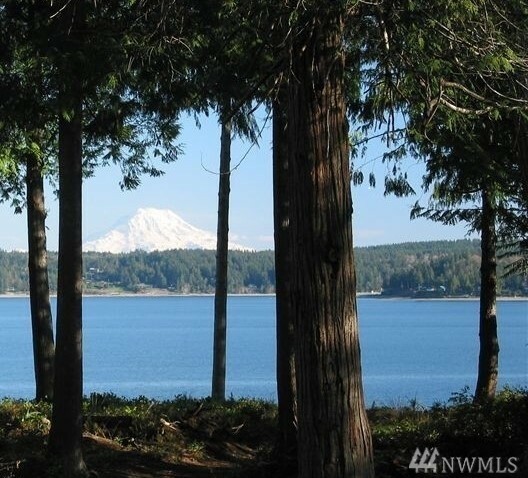 Property Photo:  764 E Lagoon Dr E  WA 98584 