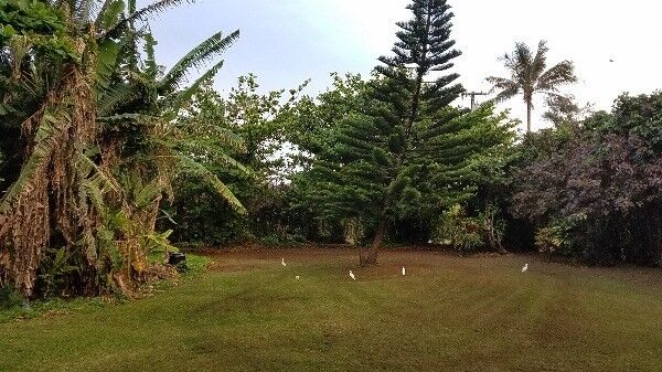 Property Photo:  7161 Alealea Rd  HI 96714 