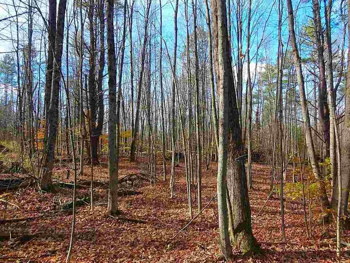 Property Photo:  00 Sherwood Forest Road 1  VT 05495 