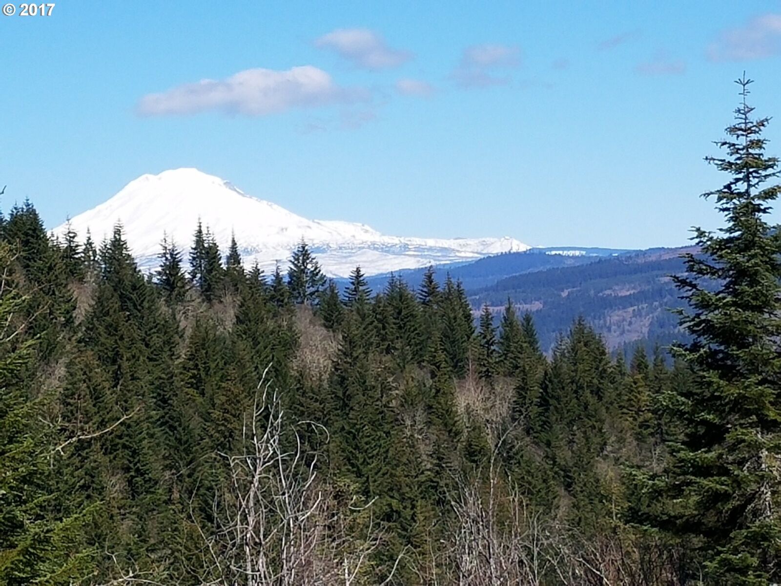 Property Photo:  Blackberry Ln  WA 98672 