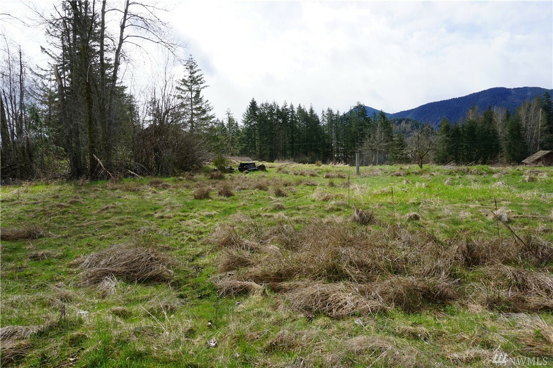 50201 Mountain Hwy E  Eatonville WA 98328 photo