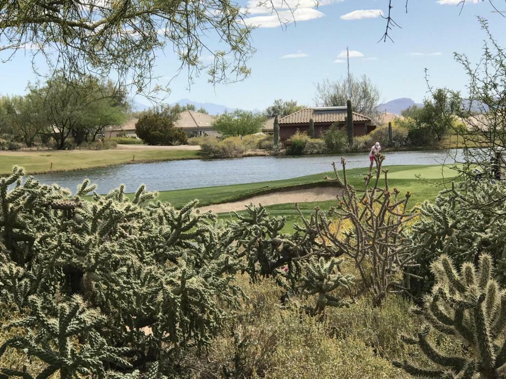 Property Photo:  13863 N Heritage Canyon Drive  AZ 85658 