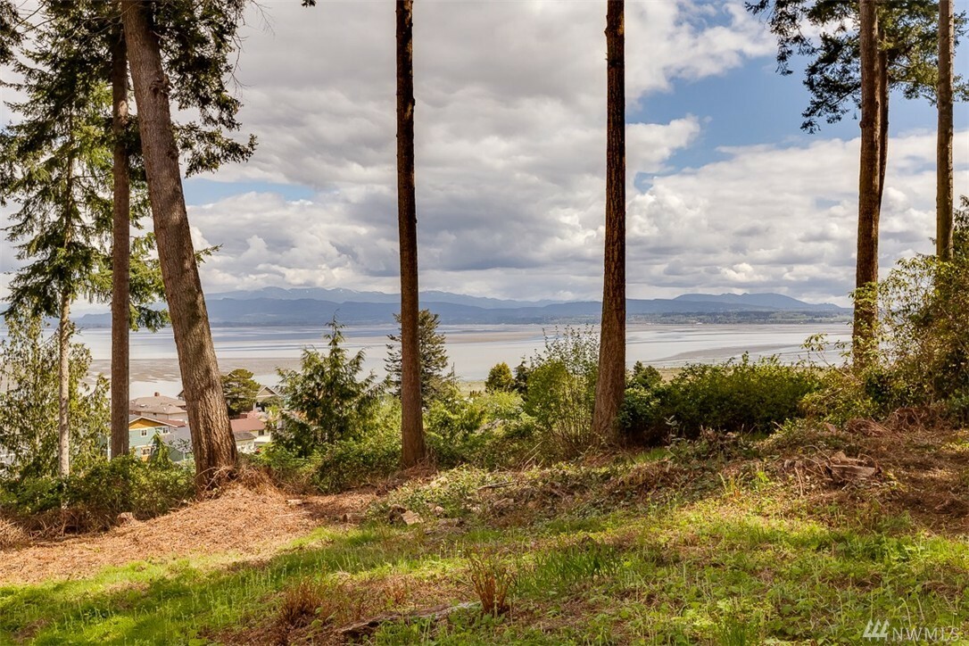 Property Photo: 337 Tillicum Way WA 98282