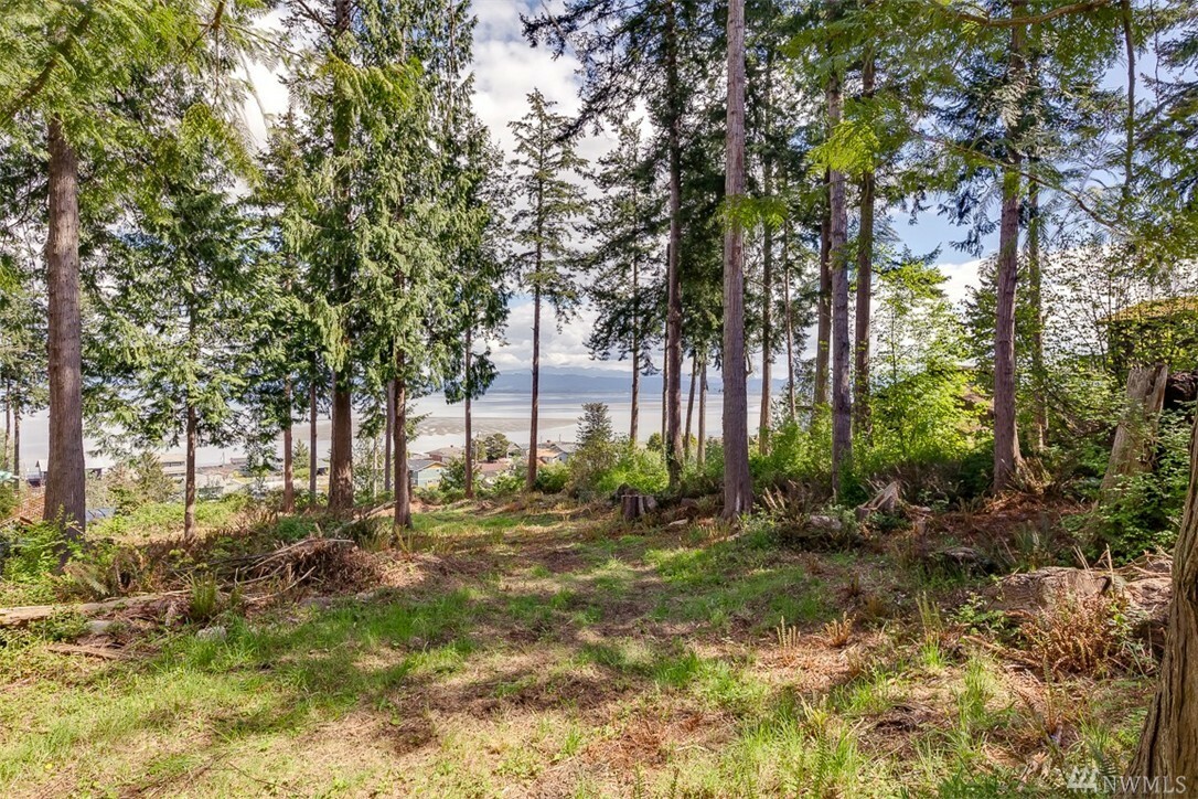 Property Photo: 343 Tillicum Way WA 98282