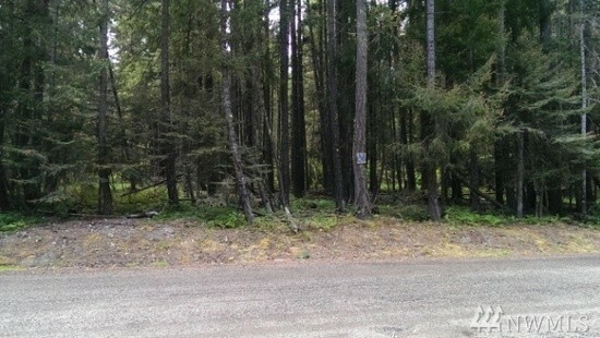 Property Photo:  36 Timber Mountain Lp  WA 98922 