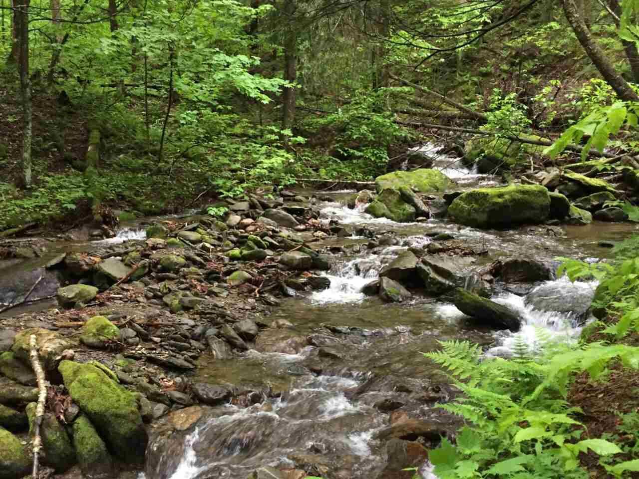 Property Photo:  43 Waughbrook Lane  VT 05489 