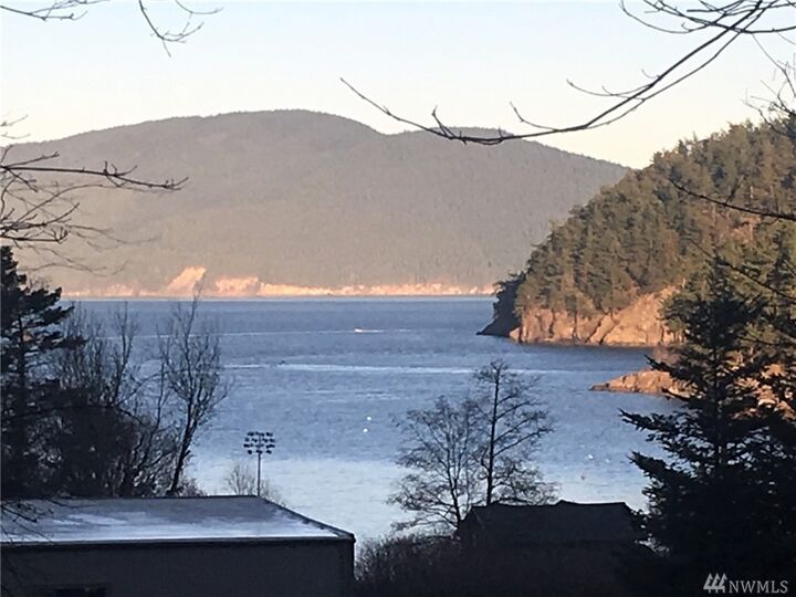 Xxx Davis Beach Rd  Decatur Island WA 98221 photo