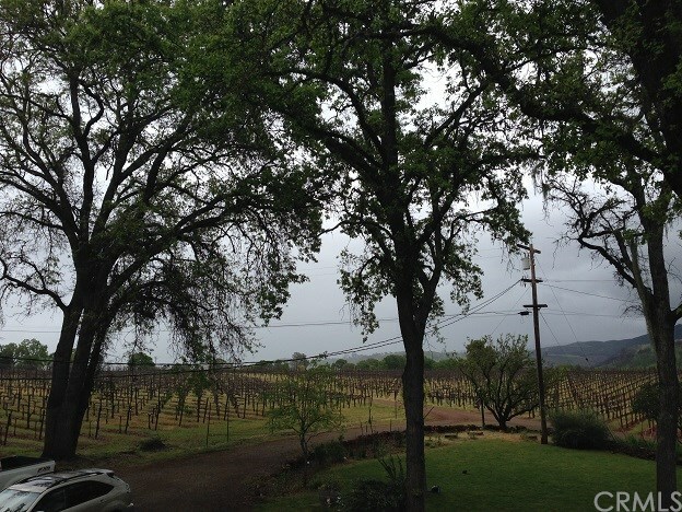 Property Photo: 16675 Dam Road CA 95422