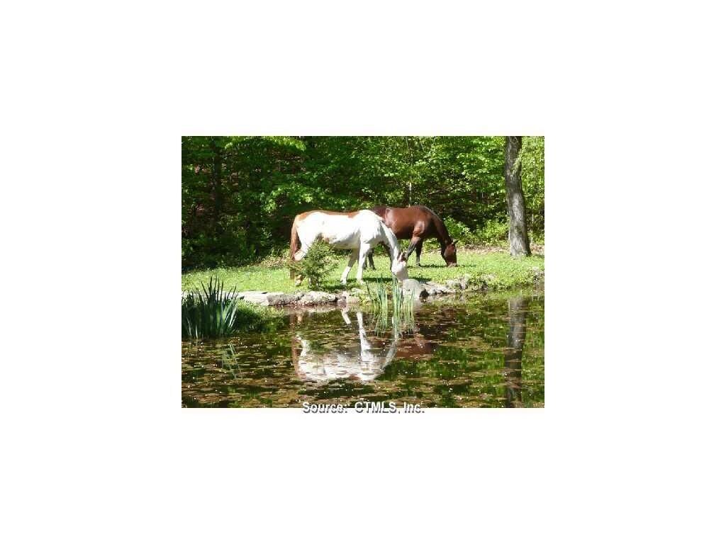 Property Photo:  336 Roast Meat Hill Road  CT 06419 