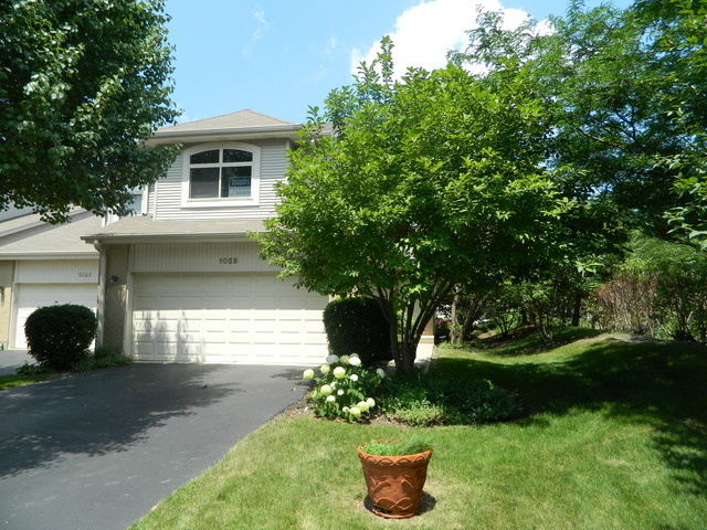 Property Photo:  1028 Silvana Court  IL 60173 