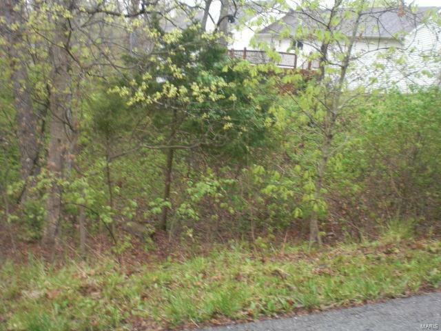 Property Photo: 31993 N Fairway Drive 295 MO 63348