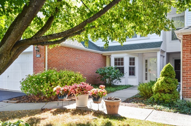 Property Photo: 137 Hemstead Street IL 60044
