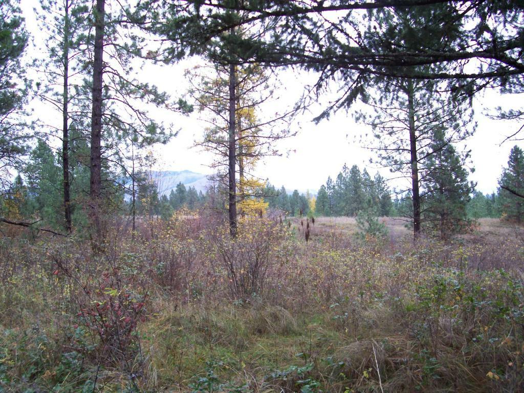 Property Photo:  2062 Eagles Cove Way  WA 99141 