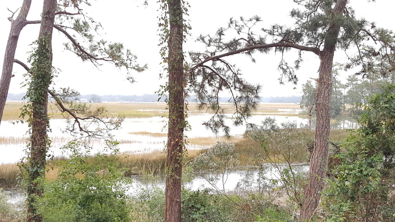 Property Photo: 700 Daniel Ellis Drive # 11104 SC 29412