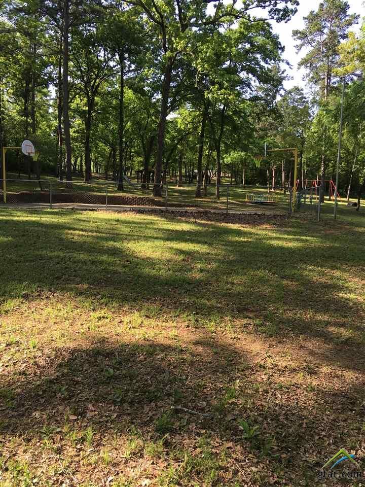 Property Photo:  Lot 13, Blk 8 Greenwood Trail  TX 75757 