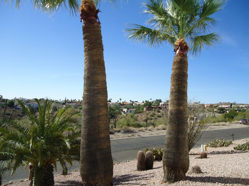 Property Photo: 15844 E Burro Drive AZ 85268