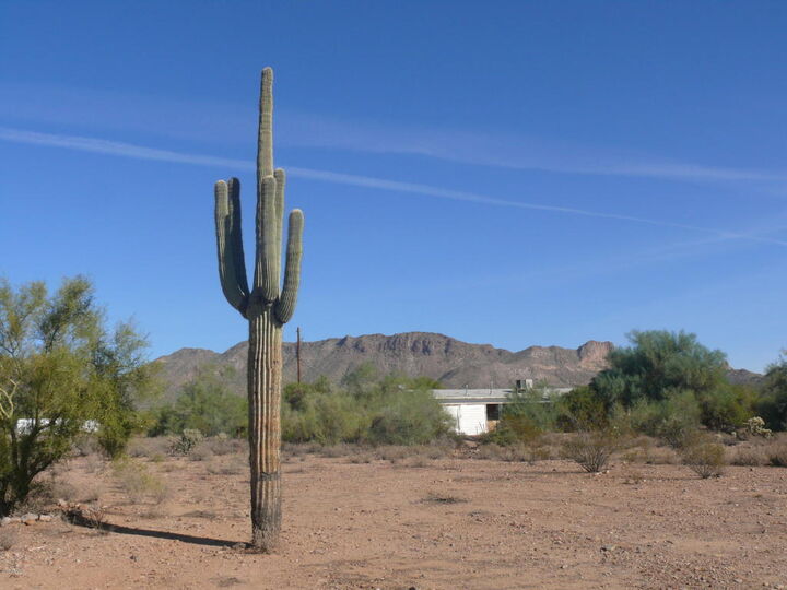 Property Photo:  2954 W McKellips Boulevard  AZ 85120 