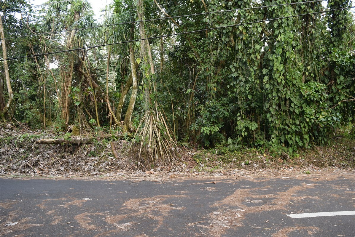 Property Photo:  Puni Lani Lp  HI 96778 