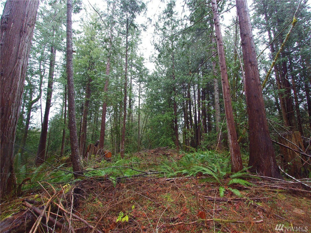 Property Photo:  681 Karpen Rd  WA 98363 