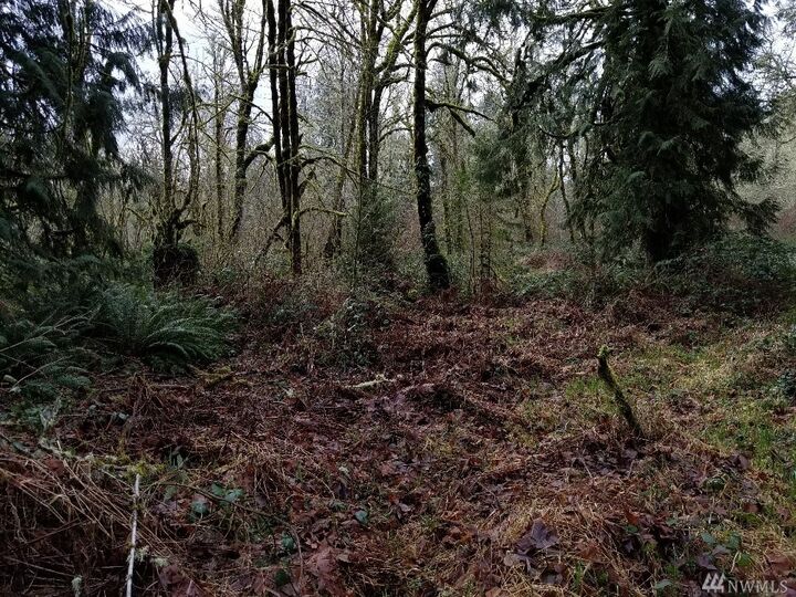 Property Photo:  0 Winston Creek  WA 98564 